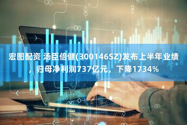 宏图配资 汤臣倍健(300146SZ)发布上半年业绩，归母净利润737亿元，下降1734%