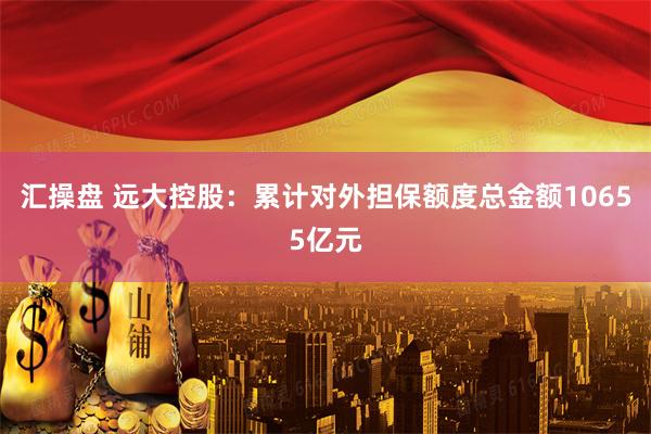 汇操盘 远大控股：累计对外担保额度总金额10655亿元